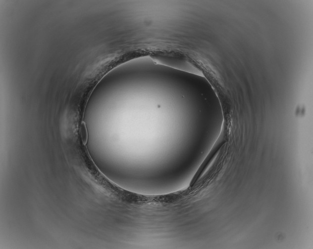 X0000090920593200707301534