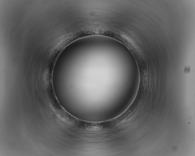 X0000090920594200707301534