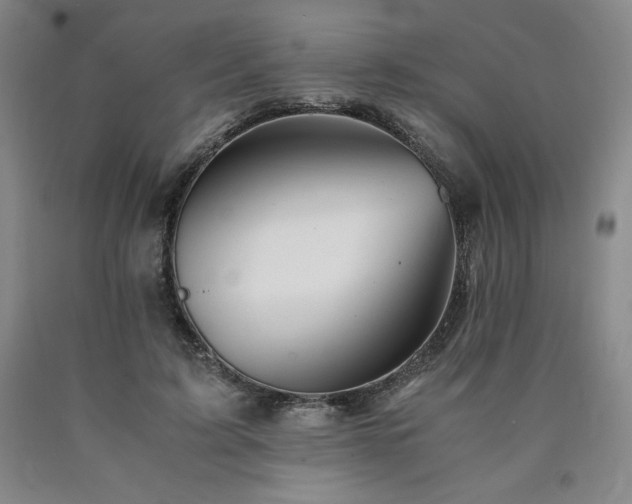 X0000090920595200707301534