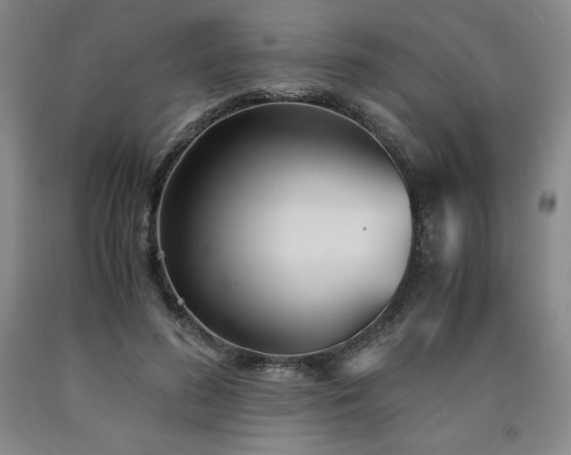 X0000090920596200707301534