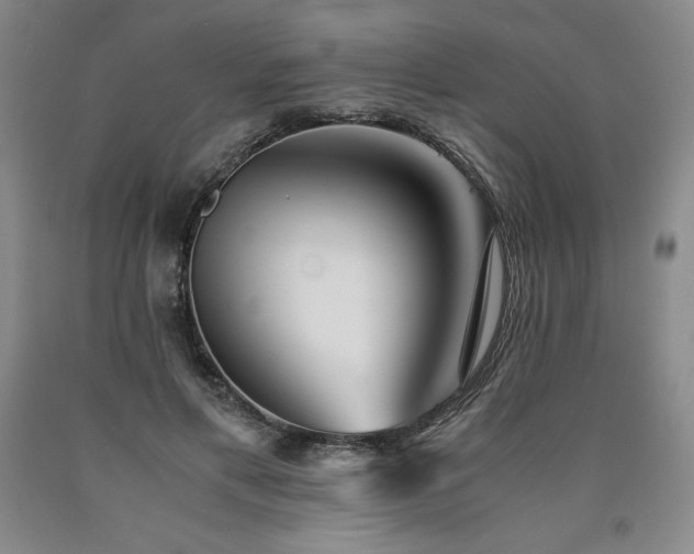 X0000090920597200707301534