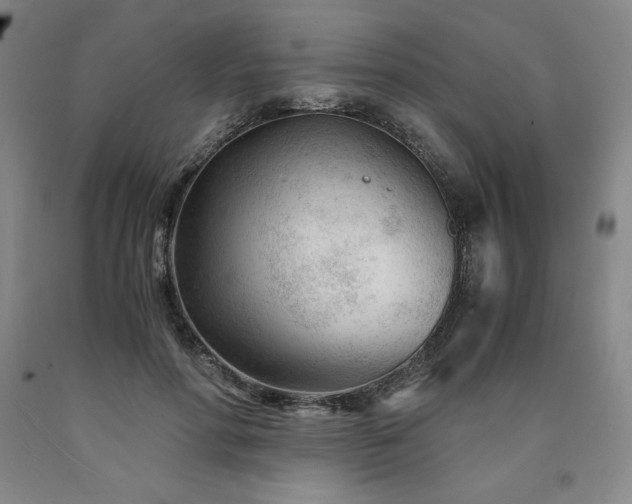 X0000090920598200707301534