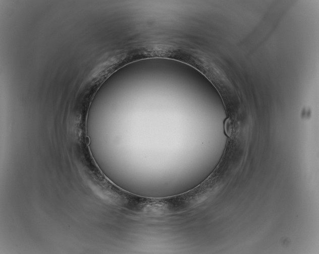 X0000090920599200707301534