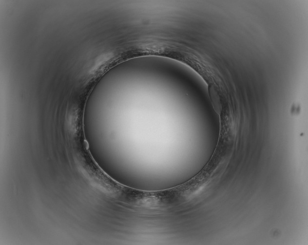 X0000090920600200707301534