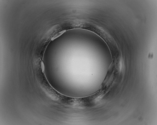 X0000090920601200707301534