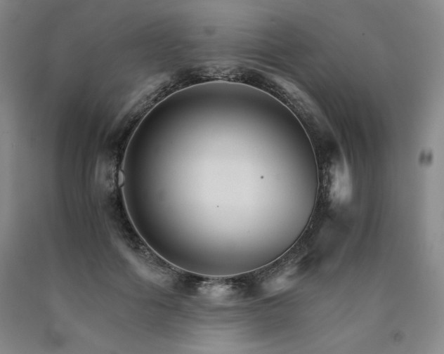 X0000090920602200707301534