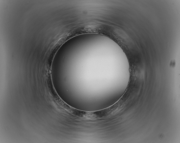 X0000090920603200707301534