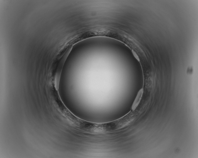 X0000090920604200707301534