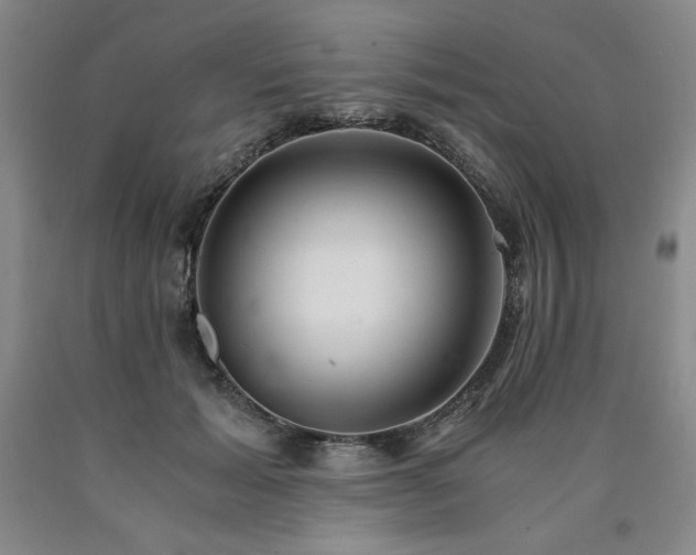 X0000090920605200707301534