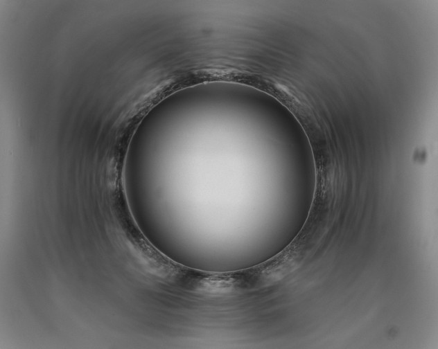 X0000090920606200707301534