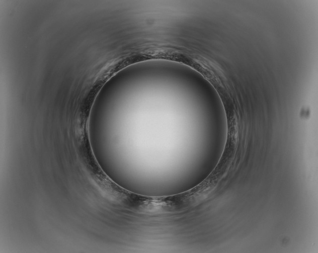 X0000090920607200707301534