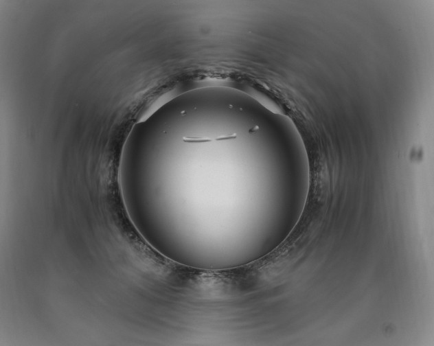 X0000090920608200707301534