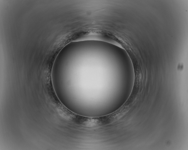 X0000090920609200707301534