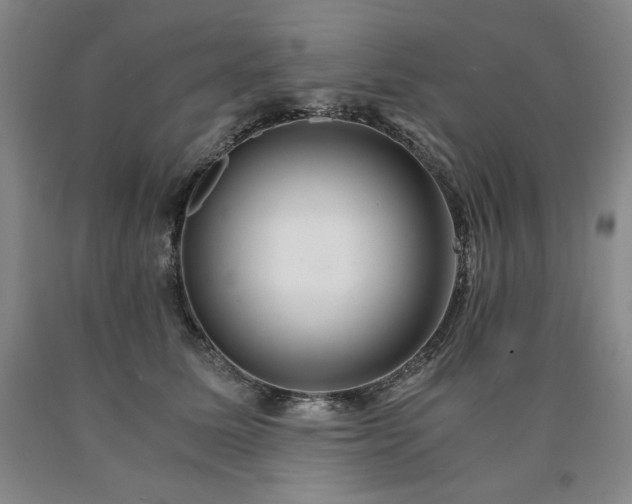 X0000090920611200707301534