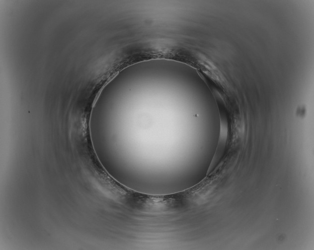 X0000090920613200707301534