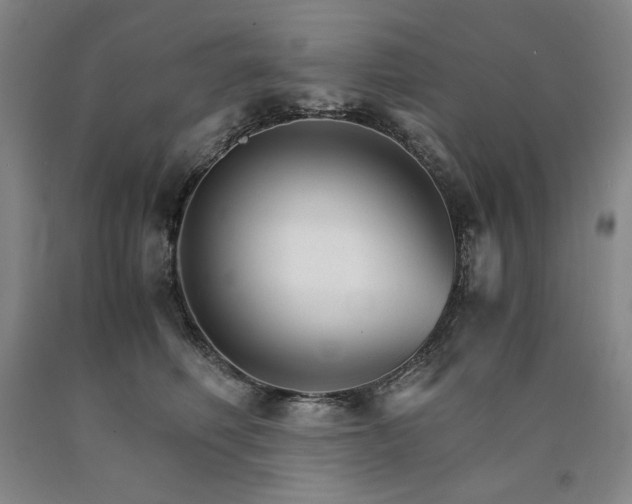 X0000090920614200707301534