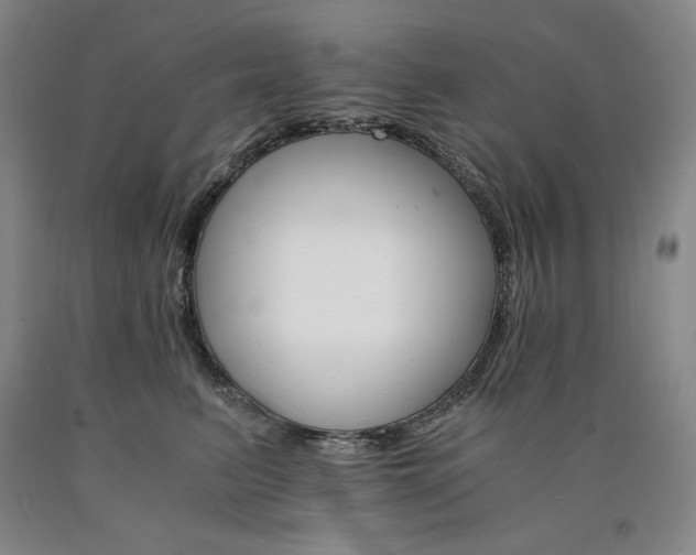X0000090920615200707301534