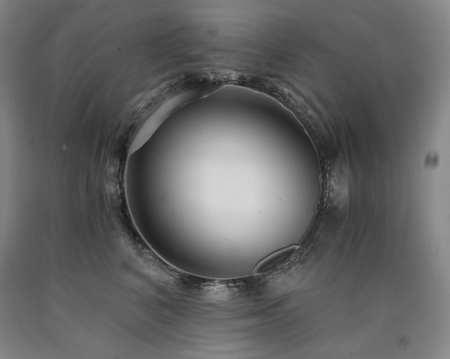 X0000090920616200707301534