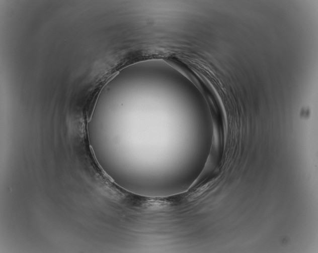 X0000090920617200707301534