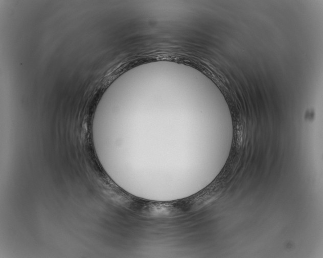 X0000090920618200707301534