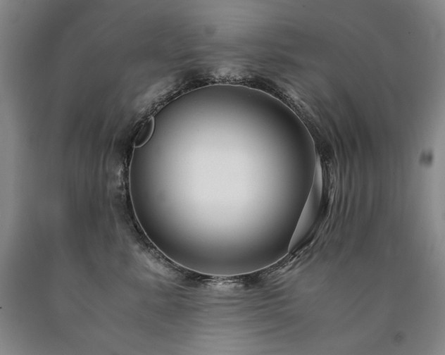 X0000090920619200707301534