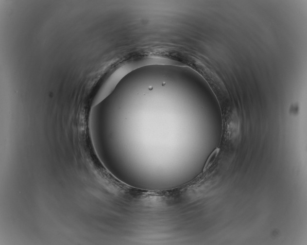 X0000090920620200707301534
