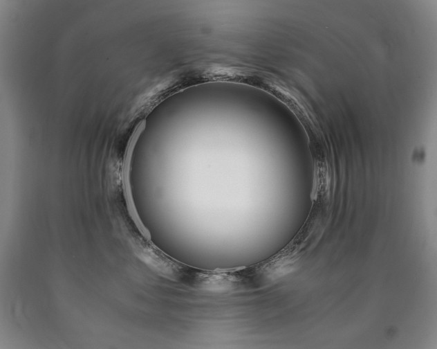 X0000090920621200707301534