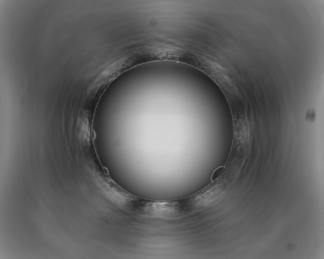 X0000090920622200707301534
