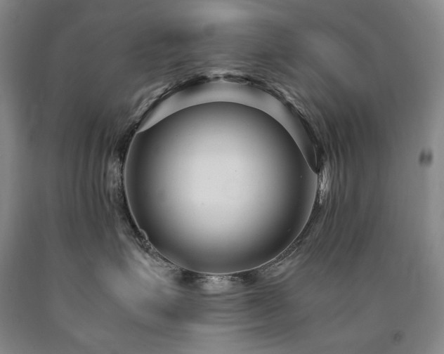 X0000090920623200707301534