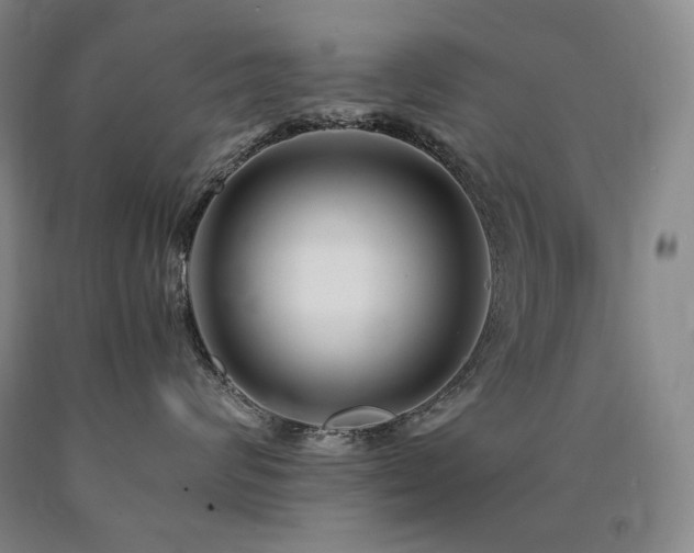 X0000090920624200707301534