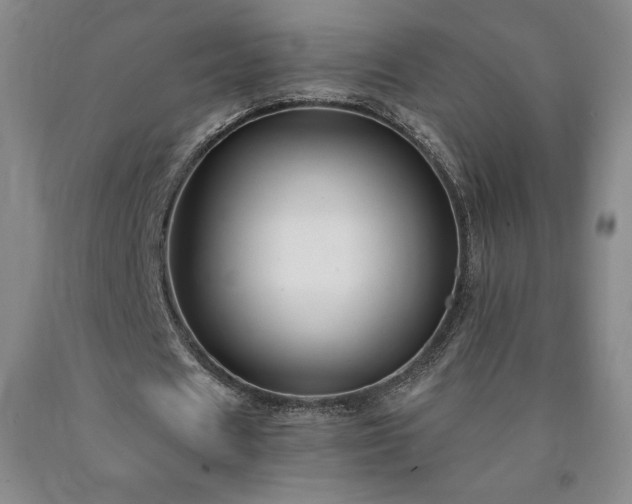 X0000090920625200707301533