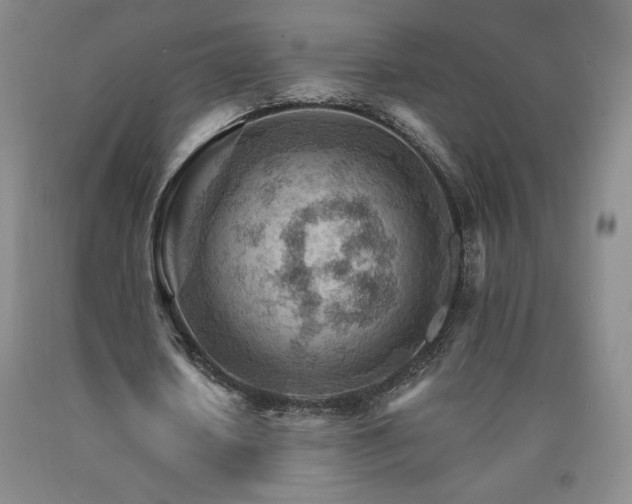 X0000090920626200707301533