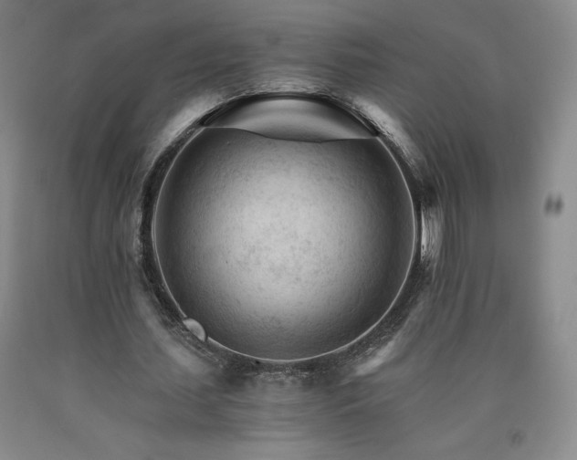 X0000090920627200707301533