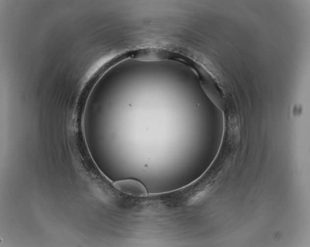 X0000090920628200707301534