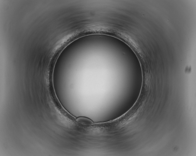 X0000090920629200707301534