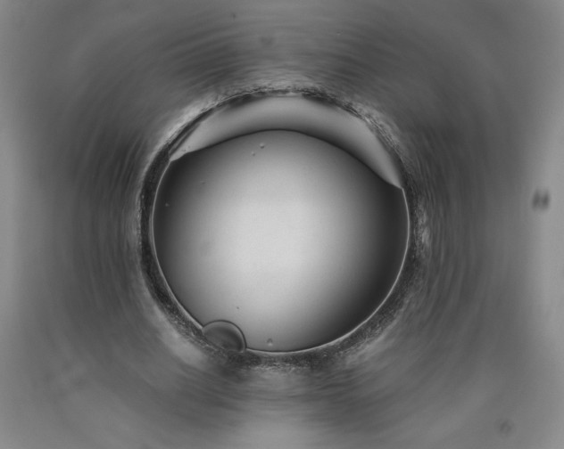 X0000090920630200707301534
