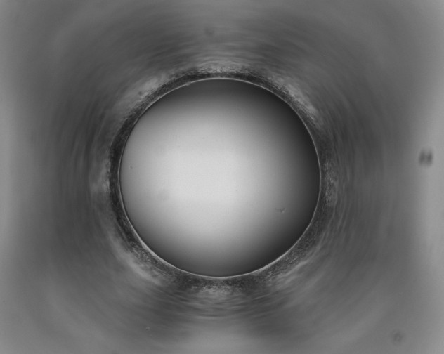 X0000090920631200707301534