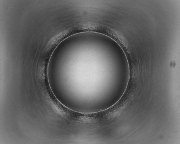 X0000090920633200707301534