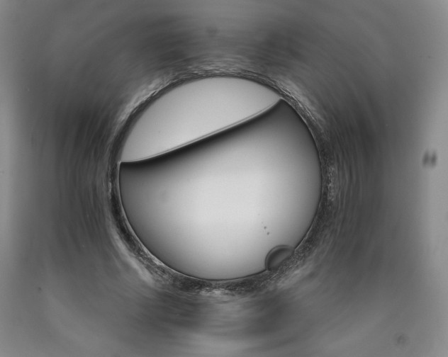X0000090920634200707301534