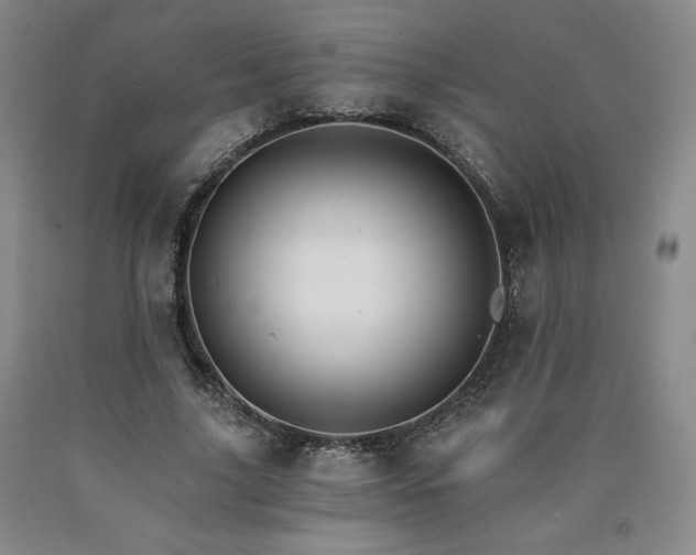 X0000090920635200707301534