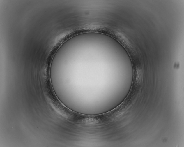 X0000090920636200707301534