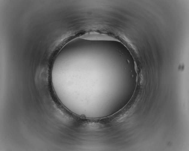 X0000090920637200707301534