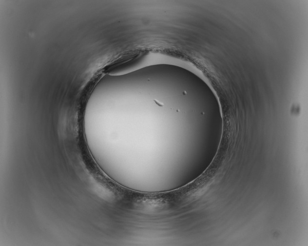 X0000090920638200707301534