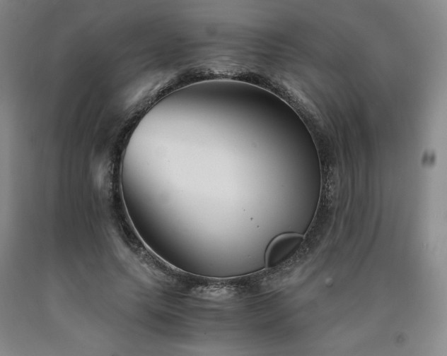 X0000090920639200707301534