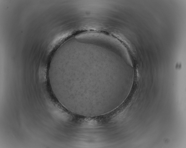 X0000090920640200707301534