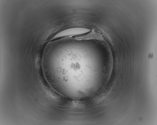 X0000090920641200707301534