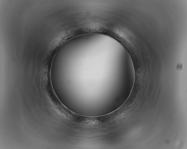 X0000090920642200707301534
