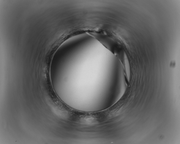 X0000090920643200707301534