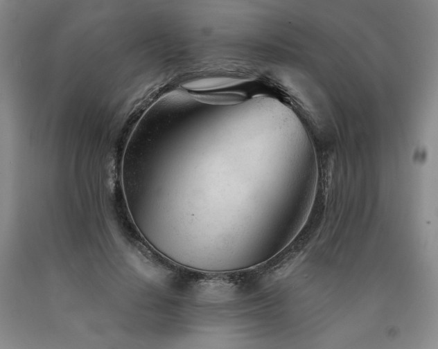 X0000090920644200707301534