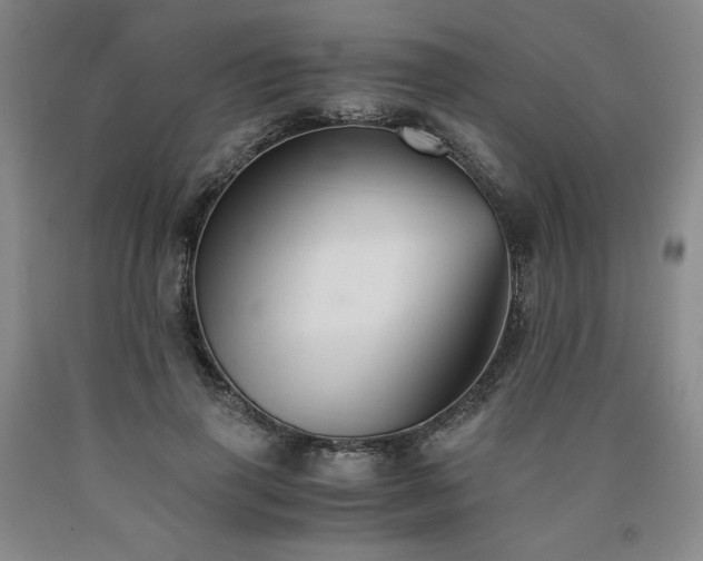 X0000090920645200707301534